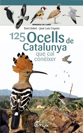 125 OCELLS DE CATALUNYA QUE CAL CONEIXER  | 9788490346747 | TONI LLOBET & JOSE LUIS COPETE