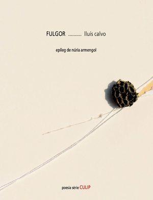 FULGOR | 9788481289862 | LLUIS CALVO