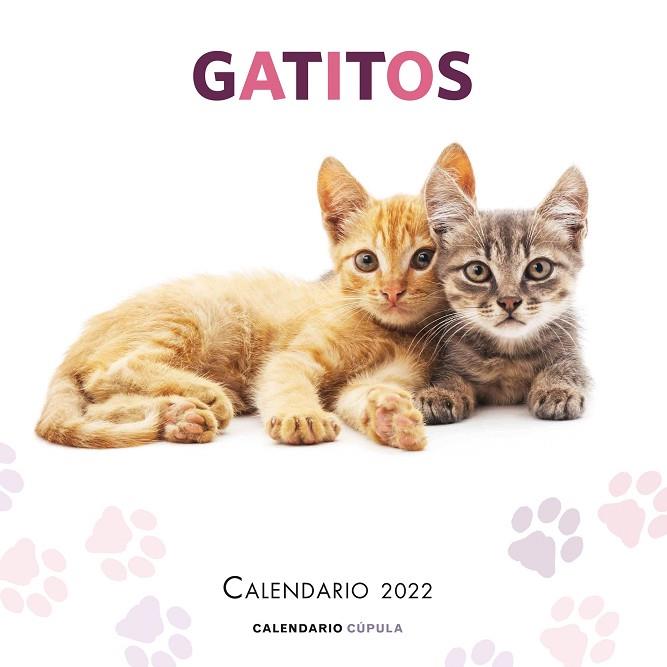 CALENDARIO GATITOS 2022 | 9788448028695 | AA. VV.