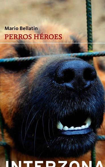 PERROS HEROES | 9789871920730 | MARIO BELLATIN