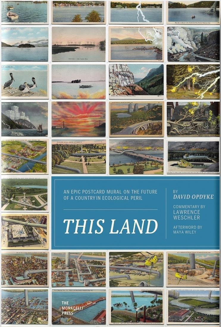 This Land | 9781580935562 | DAVID OPDYKE & LAWRENCE WESCHLER