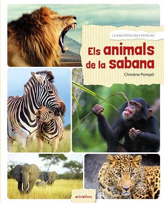 ELS ANIMALS DE LA SABANA | 9788416844524 | CHRISTINE POMPEI