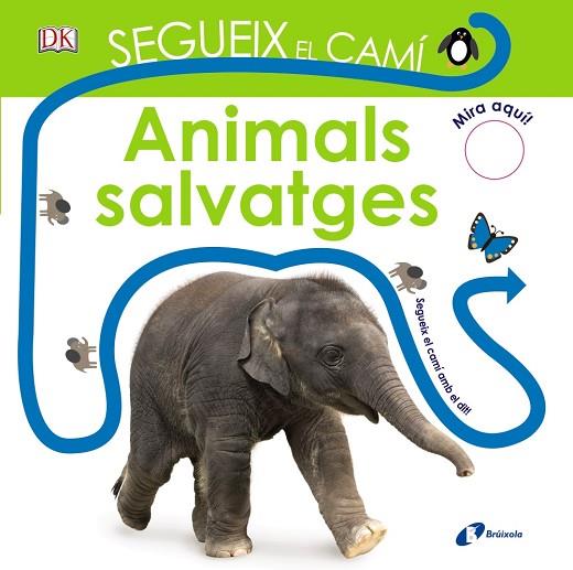 SEGUEIX EL CAMI ANIMALS SALVATGES | 9788499068466 | DAWN SIRETT