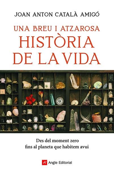 UNA BREU I ATZAROSA HISTÒRIA DE LA VIDA | 9788418197956 | JOAN ANTON CATALA AMIGO