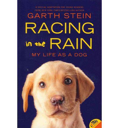 RACING IN THE RAIN | 9780062015761 | GARTH STEIN