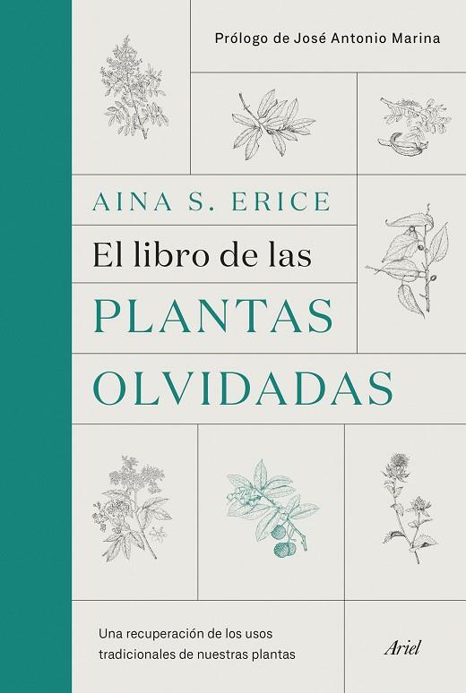 EL LIBRO DE LAS PLANTAS OLVIDADAS | 9788434431461 | AINA S. ERICE