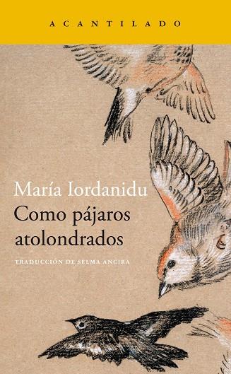 Como pájaros atolondrados | 9788419036704 | María Iordanidu