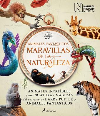 ANIMALES FANTÁSTICOS MARAVILLAS DE LA NATURALEZA | 9788418637056 | NATIONAL HISTORY MUSEUM