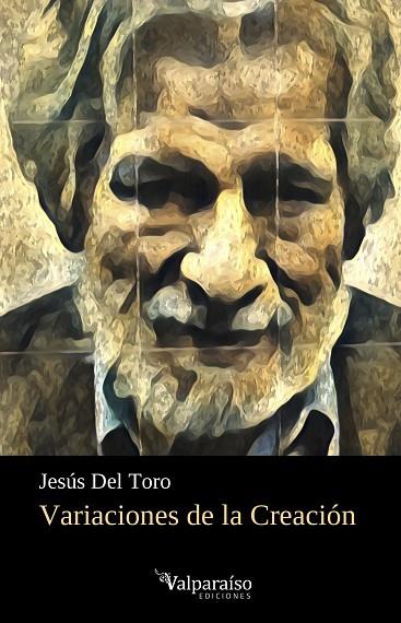 VARIACIONES DE LA CREACIÓN | 9788419347022 | JESUS DEL TORO