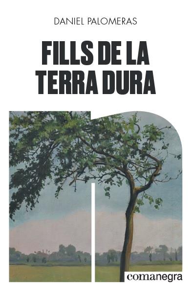 FILLS DE LA TERRA DURA | 9788418022296 | DANIEL PALOMERAS