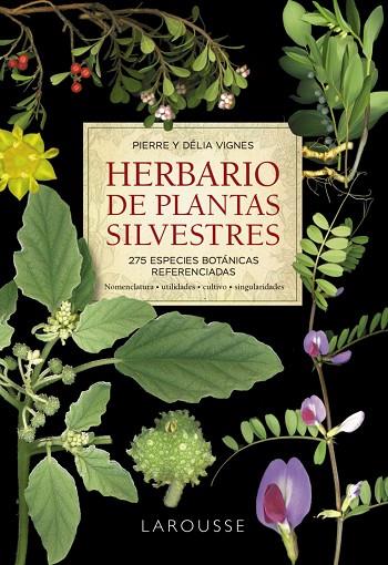 HERBARIO DE PLANTAS SILVESTRES | 9788418473999 | PIERRE VIGNES & DELIA VIGNES