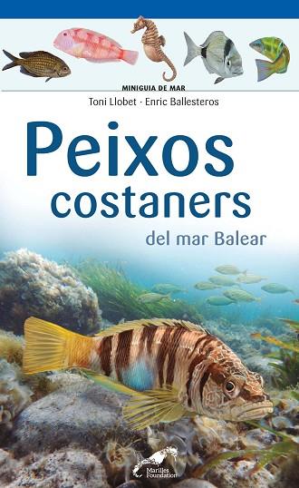 PEIXOS COSTANERS DEL MAR BALEAR | 9788490349403 | TONI LLOBET FRANÇOIS & ENRIC BALLESTEROS SAGARRA