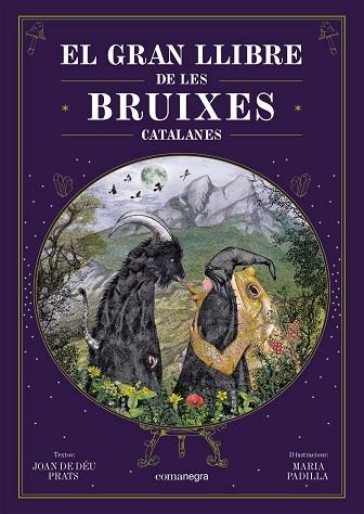 El gran llibre de les bruixes catalanes | 9788418857751 | Joan de Déu Prats