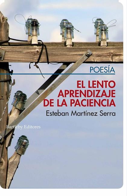 EL LENTO APRENDIZAJE DE LA PACIENCIA | 9788412013238 | ESTEBAN MARTINEZ SERRA