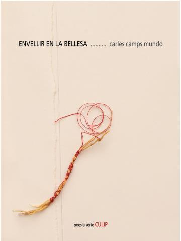 ENVELLIR EN LA BELLESA | 9788481289824 | CARLES CAMPS MUNDÓ