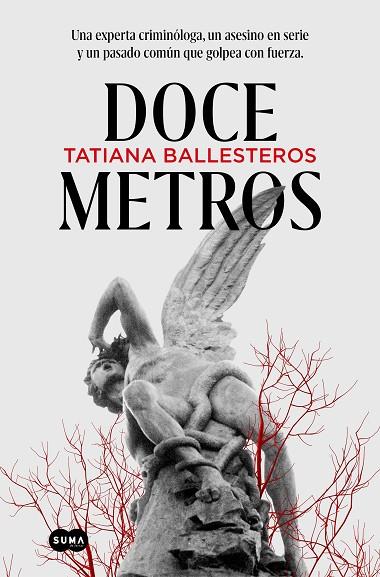 DOCE METROS | 9788491296485 | TATIANA BALLESTEROS