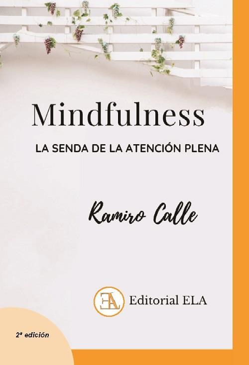 MINDFULNESS | 9788499502007 | RAMIRO CALLE CAPILLA