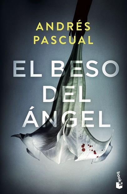 El beso del ángel | 9788467062755 | Andrés Pascual
