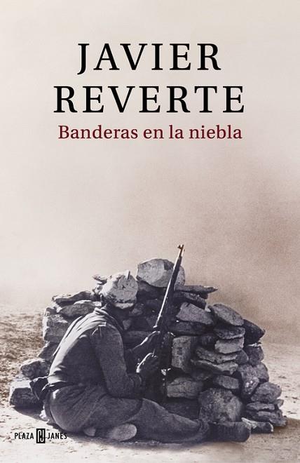 BANDERAS EN LA NIEBLA | 9788401019432 | JAVIER REVERTE