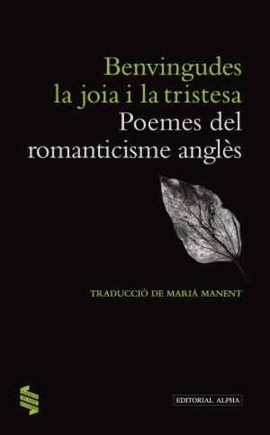 BENVINGUDES LA JOIA I LA TRISTESA | 9788498591880