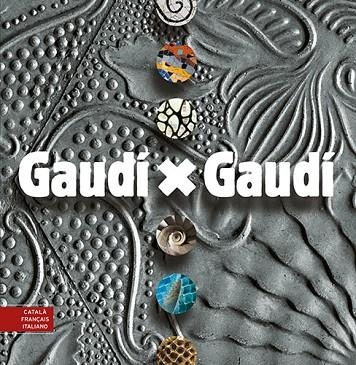 GAUDI X GAUDI | 9788484780588 | VVAA