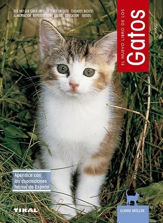 GATOS EL NUEVO LIBRO | 9788430592661 | MULLER, ULRIKE
