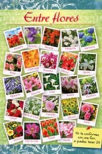 ENTRE FLORES | 9788493928193 | VV.AA.