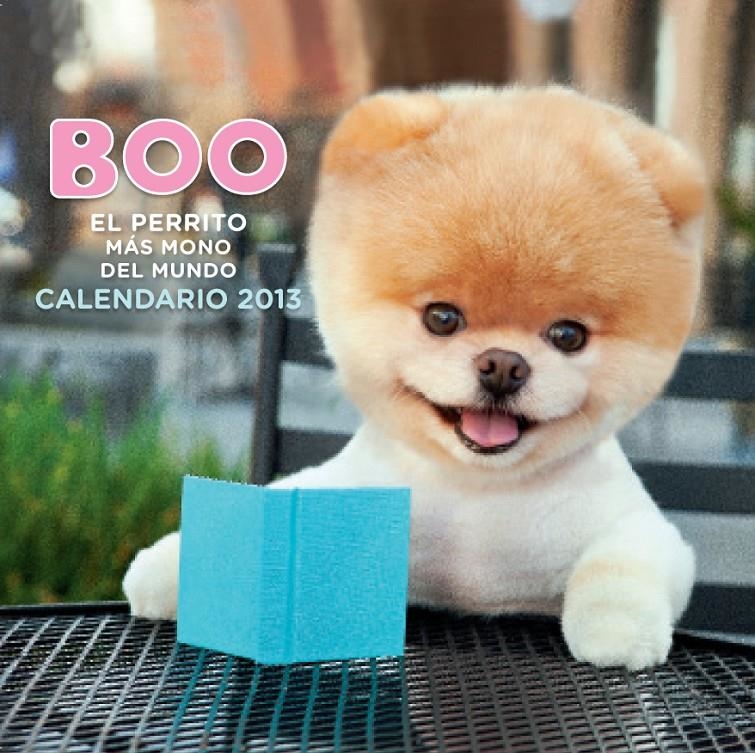 CALENDARIO BOO 2013 | 9788448005313 | VV.AA.