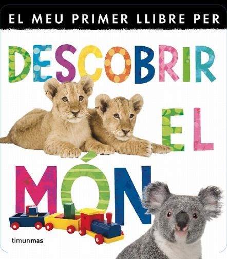 DESCOBRIR EL MON | 9788499329840 | VVAA