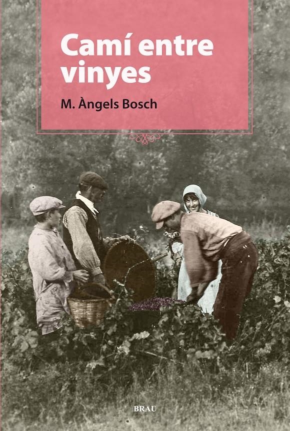 CAMI ENTRE VINYES | 9788496905924 | BOSCH CASTELLO, M. ANGELS