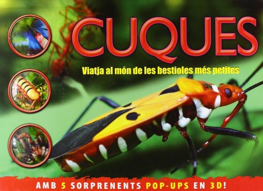 CUQUES | 9788415656326 | JEN GREEN