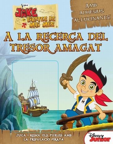 A LA RECERCA DEL TRESOR AMAGAT | 9788415697862 | DIVERSOS AUTORS