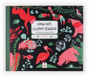 NIT LLUNY D ' AQUI, UNA | 9788466131674 | WAUTERS, JULIA