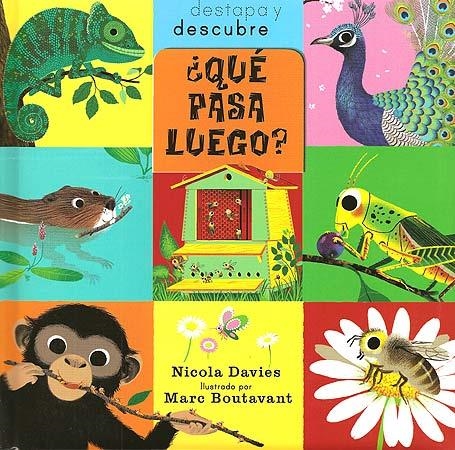QUE PASSARA ? | 9788426139979 | DAVIES, NICOLA & BOUTAVANT, MARC