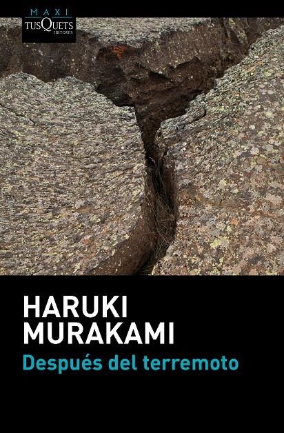 DESPUES DEL TERREMOTO | 9788483838891 | HARUKI MURAKAMI