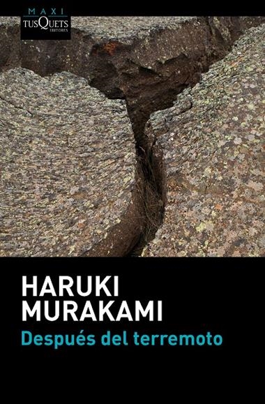 DESPUES DEL TERREMOTO | 9788483838891 | HARUKI MURAKAMI