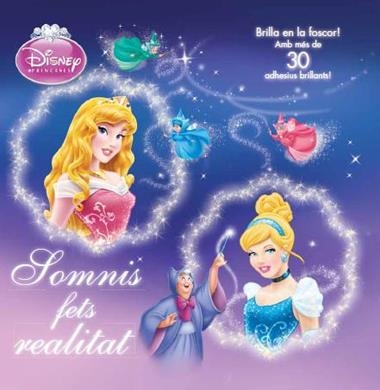 PRINCESES SOMNIS FETS REALITAT | 9788490572764 | VV.AA.