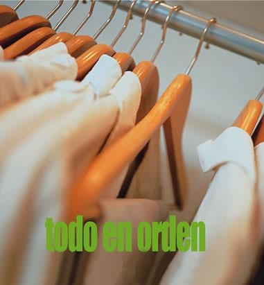 TODO EN ORDEN | 9788489861268 | LORENZO, SOLEDAD