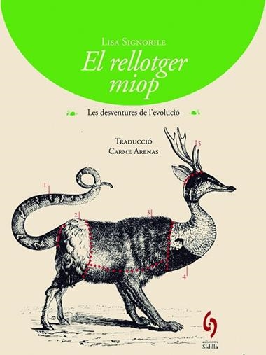 EL RELLOTGER MIOP | 9788494256424 | LISA SIGNORILE