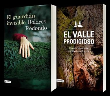 EL GUARDIAN INVISIBLE GUIA DE BAZTAN | 9788423348695 | DOLORES REDONDO