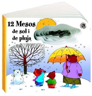 12 MESOS DE SOL I PLUJA | 9788490249154 | VVAA