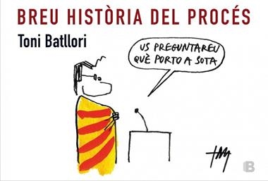 BREU HISTORIA DEL PROCES | 9788466657143 | BATLLORI, TONI