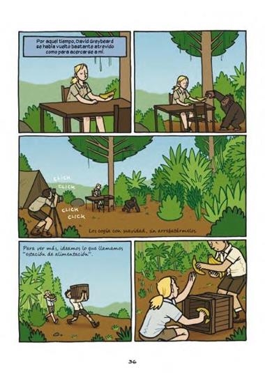 PRIMATES LA INTREPIDA CIENCIA DE JANE GOODALL DIAN FOSTER Y BIRUTE GALDIKAS | 9788467918243 | OTTAVIANI, JIM &  WICKS, MARIS