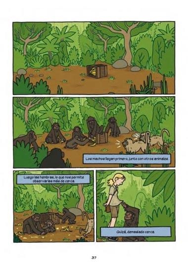 PRIMATES LA INTREPIDA CIENCIA DE JANE GOODALL DIAN FOSTER Y BIRUTE GALDIKAS | 9788467918243 | OTTAVIANI, JIM &  WICKS, MARIS