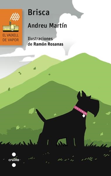 BRISCA | 9788466139441 | ANDREU MARTIN