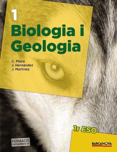 BIOLOGIA I GEOLOGIA 1 ESO | 9788448936211 | VVAA