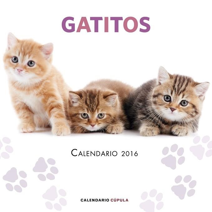 GATITOS CALENDARIO 2016 | 9788448021719 | VVAA