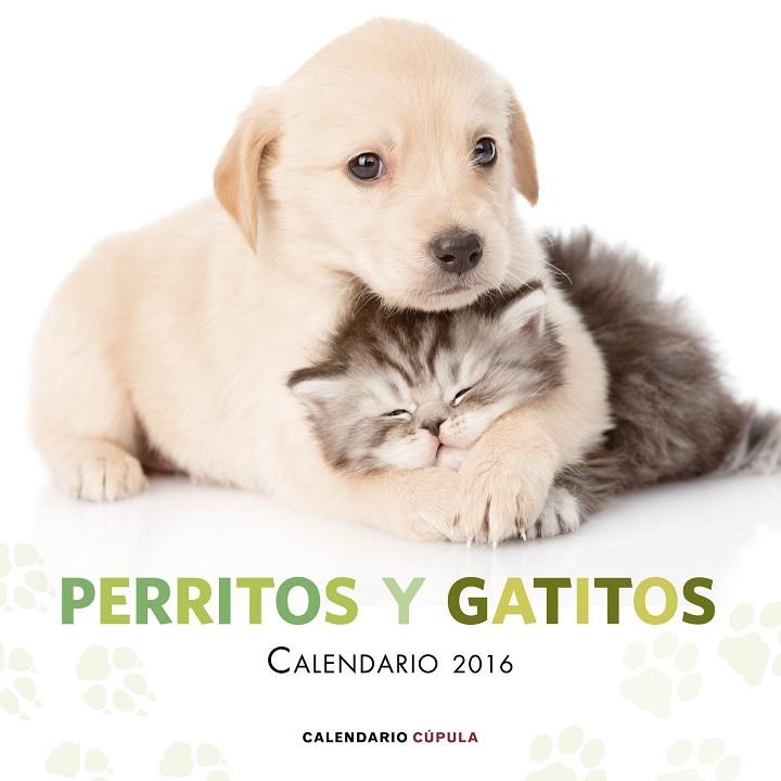 PERRITOS Y GATITOS CALENDARIO 2016 | 9788448021726 | VVAA