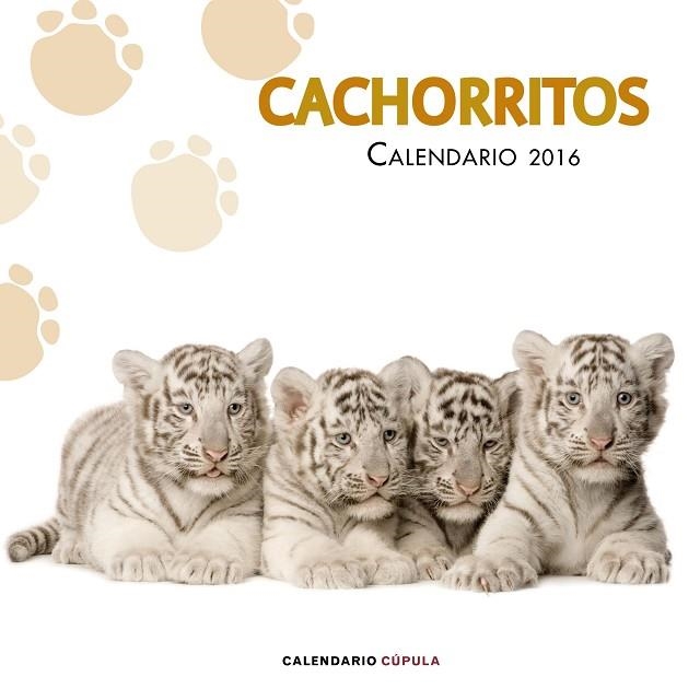 CACHORRITOS CALENDARIO 2016 | 9788448021733 | VVAA