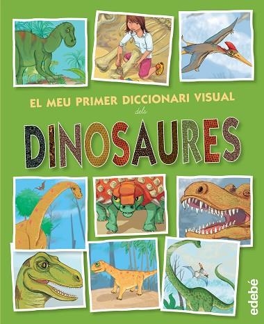 EL MEU PRIMER DICCIONARI VISUAL DELS DINOSAURES | 9788468321233 | MONTSE ESPAÑOL